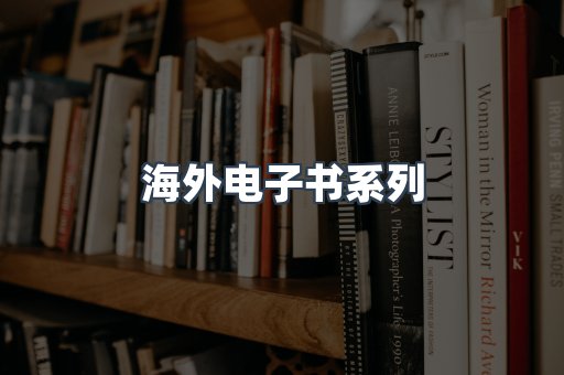 海外电子书系列
